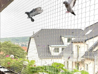 top and best pigeon protection nets near me