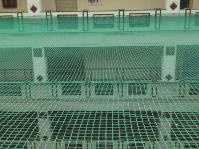 best children safety nets in hyderabad with best price